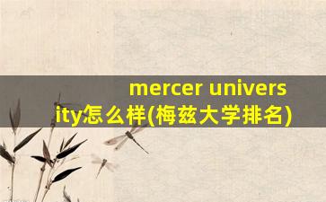 mercer university怎么样(梅兹大学排名)